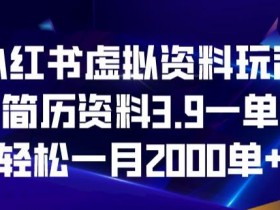 新手小白必看，小红书虚拟资料项目如何从零起步