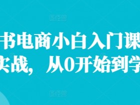 小红书掘金虚拟项目的冷门玩法,从内容到流量的高效操作