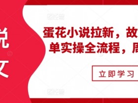 小说推文如何选择授权渠道,正规平台与低价陷阱分析