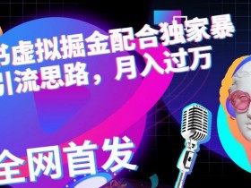 虚拟资料项目适合谁，小红书冷门赛道玩家分享