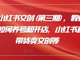 短剧推广为什么赚钱，小红书蓝海项目的操作逻辑揭秘