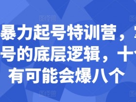 揭秘小红书旅游项目收益，从引流到变现的全流程拆解