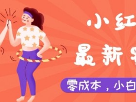 小红书图文引流技巧解析，从算法到内容的精准操作