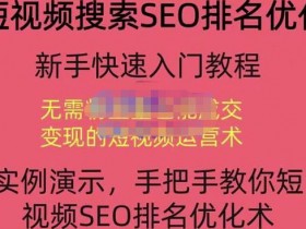 抖音SEO视频排名优化技巧，如何利用数据找到流量突破口？