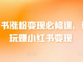 小红书代运营和自运营的区别,如何选择最适合你的方式