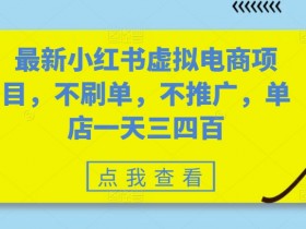 蓝海赛道月赚1万+,小红书虚拟资料项目操作指南