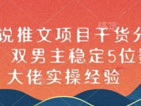 小说推文项目一个月能赚多少钱，新手到大佬的成长路径分享