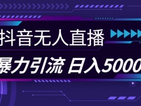 视频号直播推广流量秘籍,如何用低成本撬动精准用户?