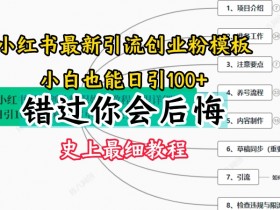 蓝海掘金赛道怎么玩,小红书冷门虚拟项目的高效操作技巧