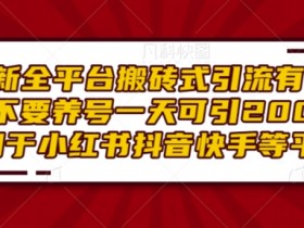 如何用抖音工具提升账号流量，高效管理内容的实用方法