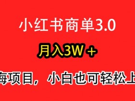 小红书运营是做什么的，详解岗位职责与核心技能要求