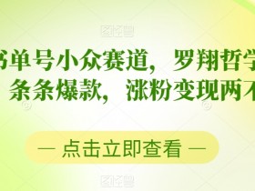 书单号项目全面解析，轻松掌握运营技巧与盈利模式