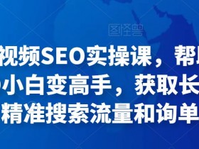 抖音SEO如何用数据优化,关键流量指标的分析与应用