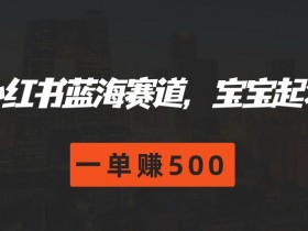 小红书掘金项目能赚多少钱，从引流到收益的全流程解析