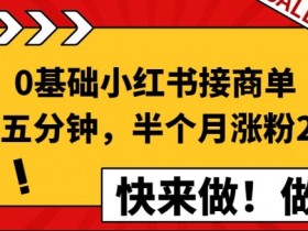 短剧搬砖收益如何最大化，小红书蓝海项目操作全攻略
