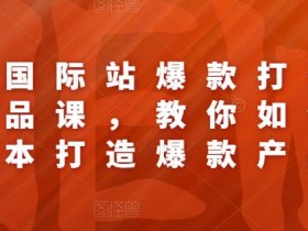 阿里国际站运营是否值得长期投入，从投资回报率看市场前景