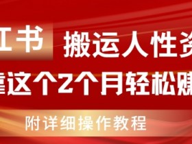 小红书掘金项目违法吗，冷门赛道的法律与风险解析