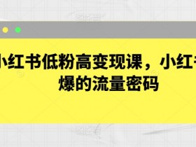 短剧项目如何高效推广，小红书无脑搬运玩法拆解