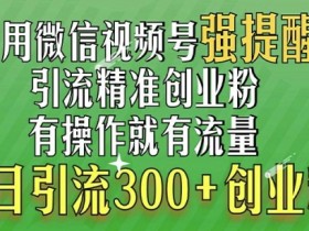 视频号素人如何通过矩阵打造品牌,个人IP的全链路运营