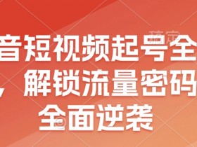 爆款短视频运营方法是什么，从创意到传播的全流程解读