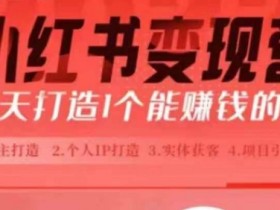 小红书矩阵引流到微信怎么玩，低成本玩法的核心技巧