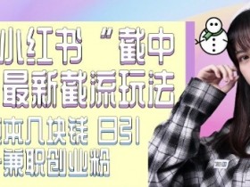 如何通过小红书矩阵赚钱,日引精准客户200+的实操技巧