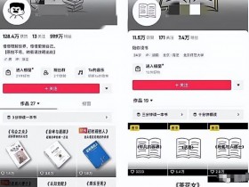 书单号项目全面解析，轻松掌握运营技巧与盈利模式