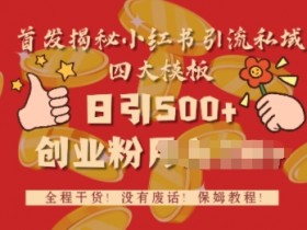 小红书批量化引流指南,矩阵账号运营的全新操作策略