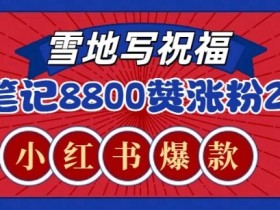 小红书图文引流技巧解析，从算法到内容的精准操作