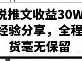 小说推文怎么快速赚到钱,真实收益案例分享,日入千元不是梦