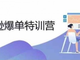 亚马逊成人用品如何选择物流方案，降低风险与提升效率的秘诀