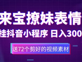 表情包项目如何通过多语言运营拓展市场,跨境玩法的实战解析