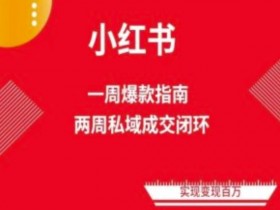 2025年短剧推广风口,小红书高收益玩法的最新操作