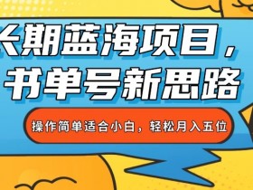 书单号项目全面解析，轻松掌握运营技巧与盈利模式
