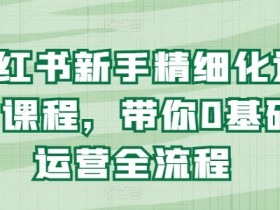 小红书掘金项目安全性如何,冷门虚拟项目的合规指南