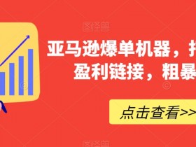亚马逊入门到精通教程，30天逆袭运营大佬的秘籍