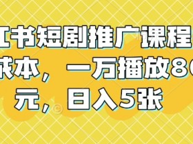 小红书矩阵运营适合新手吗，零基础轻松实现精准引流