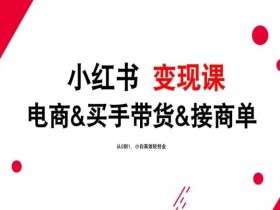 短剧风口蓝海项目怎么玩，小红书高效变现全流程教学