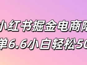 小红书掘金项目是真的假的,从虚拟项目到收益的全流程分析