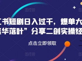 小红书掘金虚拟项目的冷门玩法,从内容到流量的高效操作