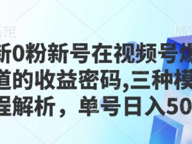 视频号直播冷门玩法解析，普通人也能轻松赚钱的新方向