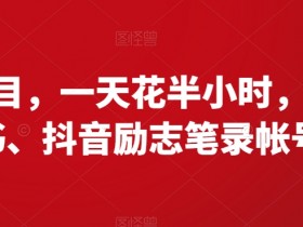 如何通过小红书精准引流赚钱，引流与带货结合的高效玩法