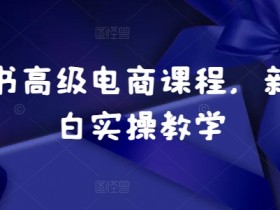 小红书旅游类目怎么玩,冷门虚拟项目变现全流程解析
