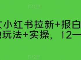 小红书短剧搬砖日入千元是真的吗,从基础到进阶的操作详解
