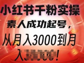 小红书矩阵引流的核心技巧是什么，从引流到转化的全攻略