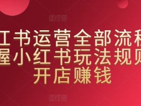 小红书运营项目总结，从数据分析到案例提炼的全流程