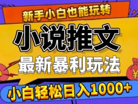 小说推文月入30万的秘诀，大佬分享完整经验和方法
