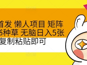 小红书掘金项目靠谱么，真实案例拆解与风险评估