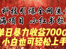 小红书代运营的收费标准是什么,从基础到高级服务的对比