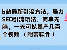 抖音SEO搜索流量课,从底层逻辑到实战应用的全解析